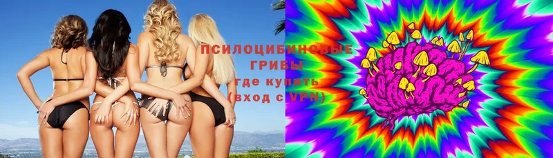 Псилоцибиновые грибы прущие грибы  Заозёрный 